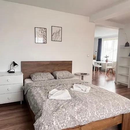 Flower - 4 Cluj-Napoca