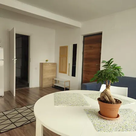 Apartment Flower - 4 Cluj-Napoca