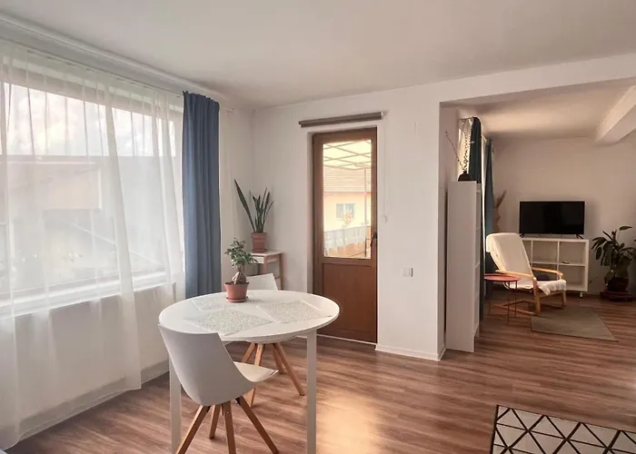 Flower - 4 * Cluj-Napoca