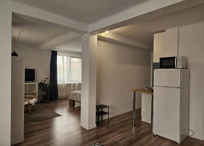 Apartment Flower - 4 Cluj-Napoca