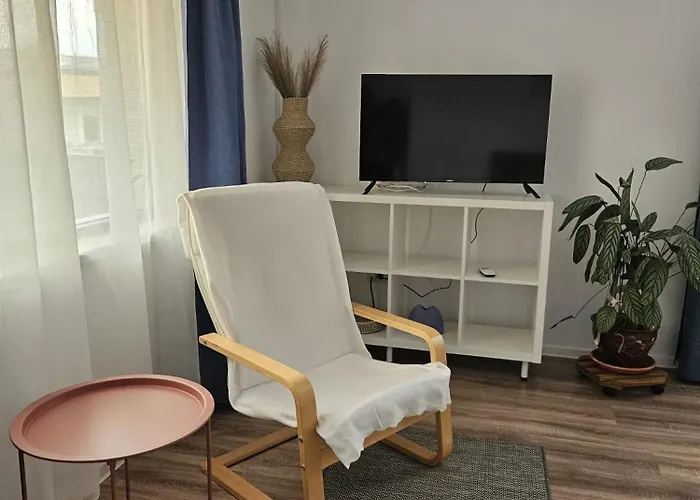 Flower - 4 * Cluj-Napoca