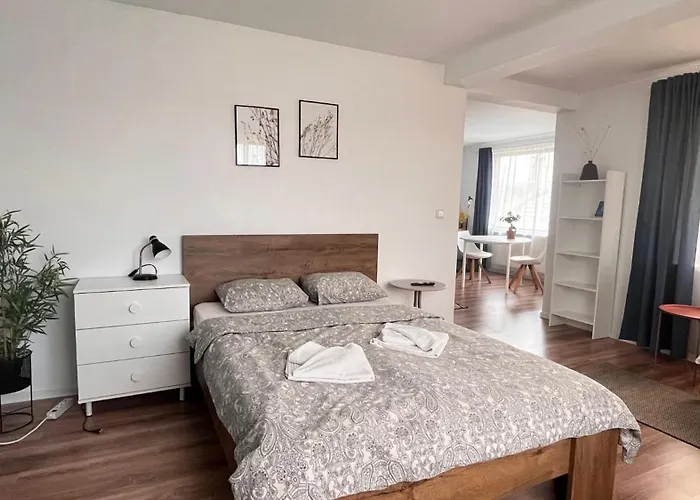 Flower - 4 Cluj-Napoca