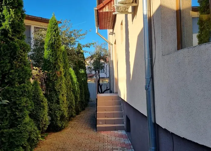 Flower - 4 Cluj-Napoca