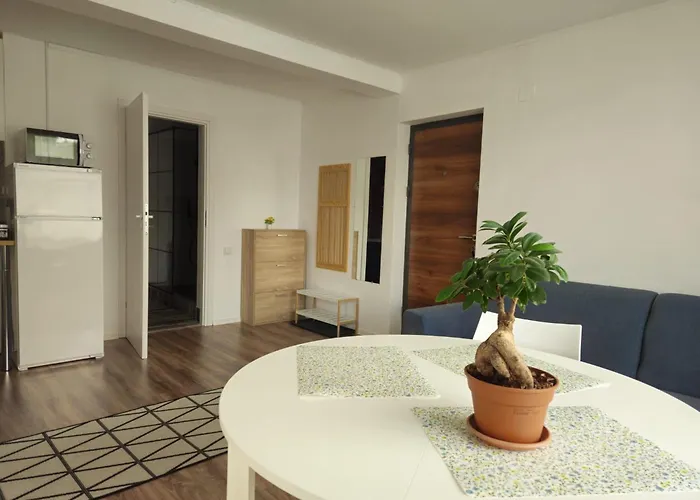 Apartment Flower - 4 Cluj-Napoca